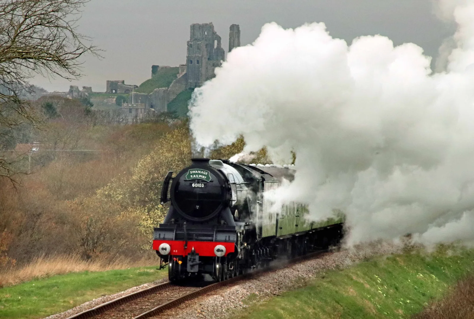 Flying Scotsman, number 60103, steaming towards the camera on the Swanage Railway with the ruins of Corfe Castle behind